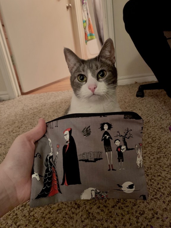 Customer's cat with Zoe's Bag Boutique zippered bag