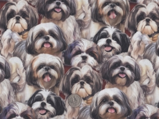 Dogs fabrics for custom bags at Zoe's Bag Boutique