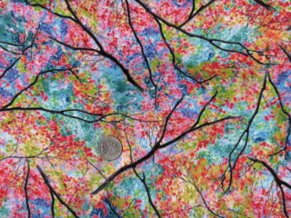 New fabrics at Zoe's Bag Boutique